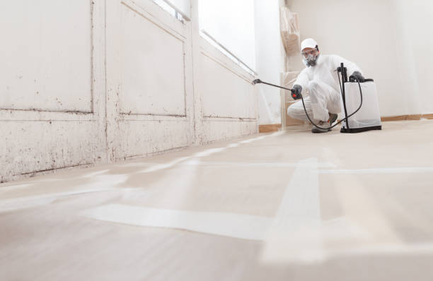 24/7 Emergency Mold Remediation experts in Schaumburg, IL